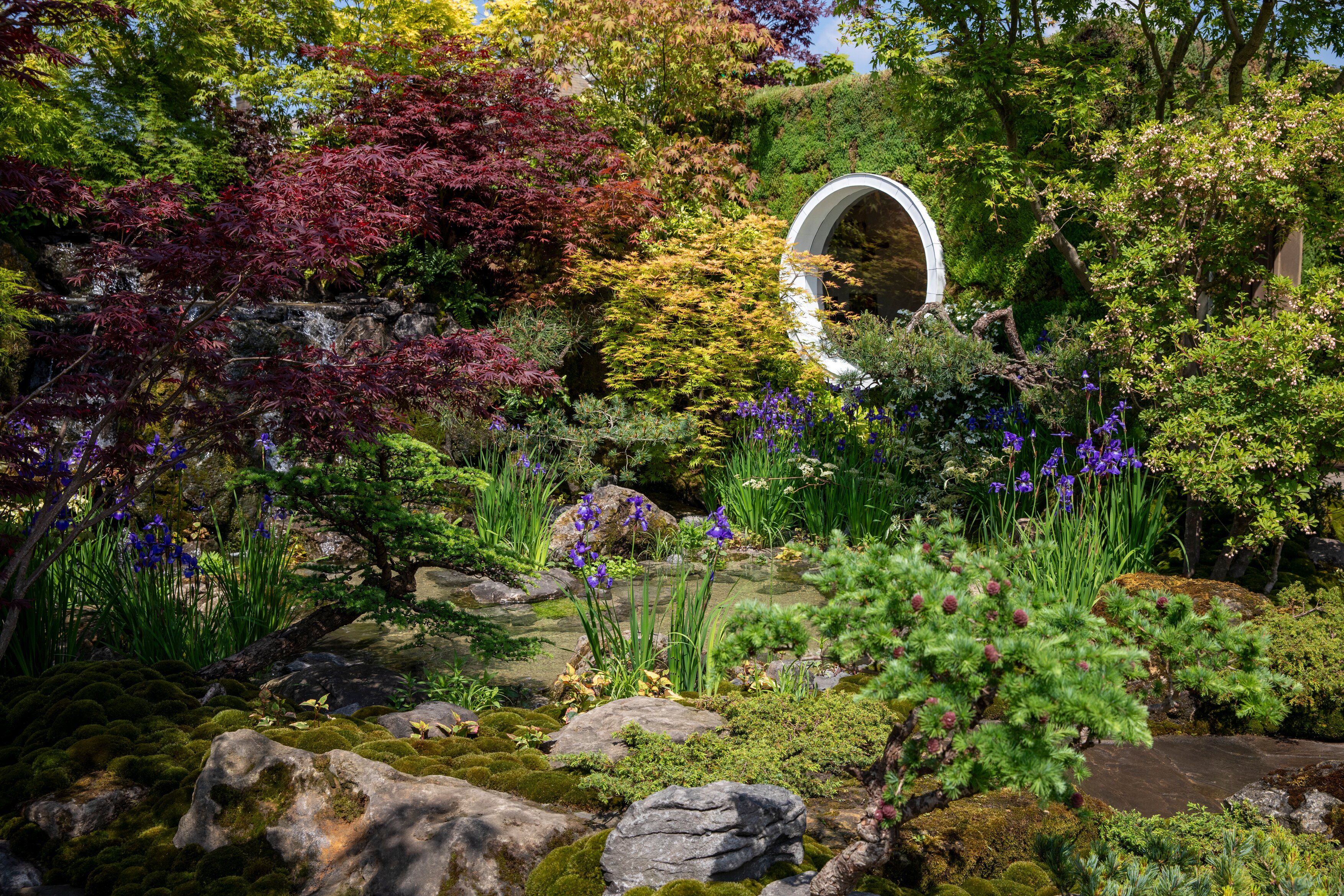 Nuove Tendenze nel Giardinaggio per il 2025